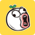 app 8.1.3