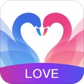 ֿԵapp V1.0.3