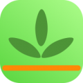 app 1.0