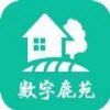 ¹Էappذװ 1.1.4