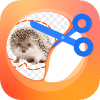 Pͼͼappذװ 1.0.1