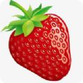 ݮתapp 3.43.40
