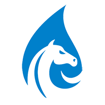 Сapp 3.3
