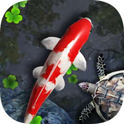 ضֽ̬app 1.99