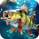ֵʦappٷѰذװ v1.0.0.0.48