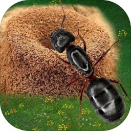 ϵϹϷ V1.0.1