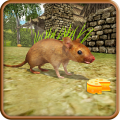 ģİذװ v1.16