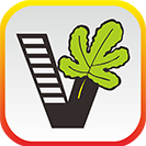 51ѧapp v1.9.32
