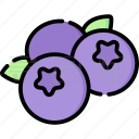 ݮ°ذװ 2.0