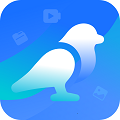 app v1.0.0