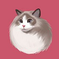 ֽ° vV1.0.1