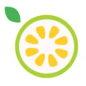 ʯֱװ Ѱ v4.6