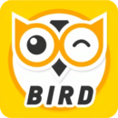  ȥ v9.1.1