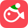 vllo最新版免费下载 v5.2.1