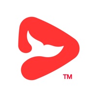 һѧУѿγ° v1.5.0.10013