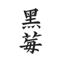 ݮС˵ֻapkװ v1.3.7