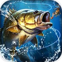 ���찮�������°汾 v2.4.11