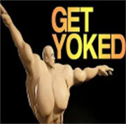 ŵģget yokedϷֱװ v1.1.1