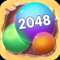 2048ϲھֻ v1.1.2