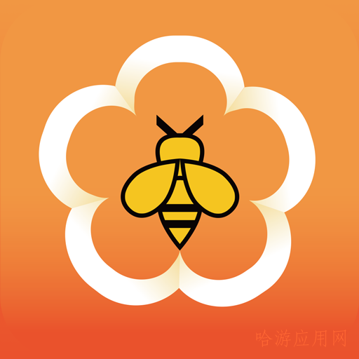 ��С����׿���°����� v2.6.6