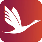 �����������°�׿������� v1.0.0