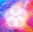 С�����ֽ��׿�ֻ����� v4.2