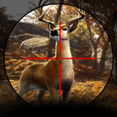 �ռ����˰�׿���°����� v5.6.5