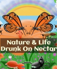 ����Ȼ�������������ڻ��ۡ� v1.0.4.4.2������+δ���ܲ���[TENOKE] v1.0.4.4.2